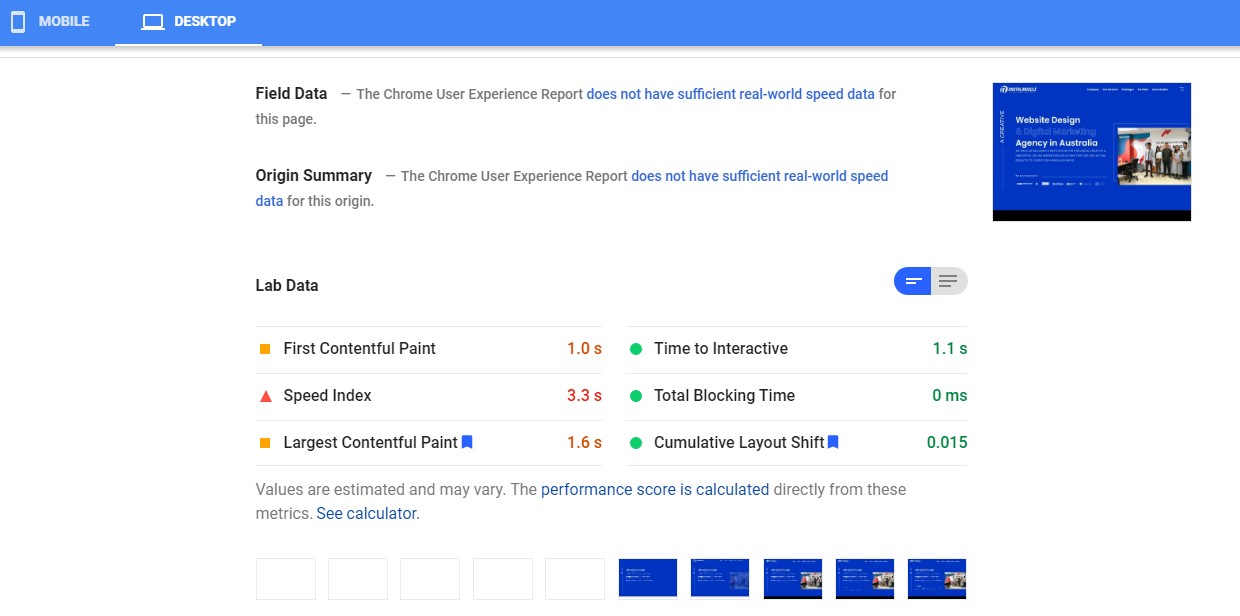 Screenshot Page Speed Check Google